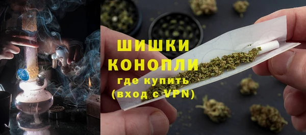 прущие крисы Белокуриха