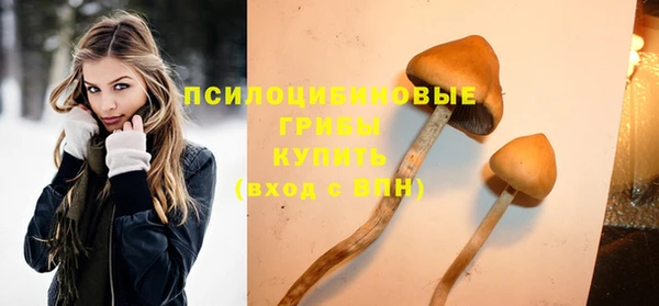 МДПВ Нея