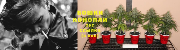 стаф Новодвинск