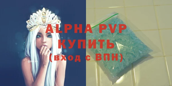 индика Ачинск